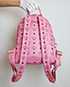 Dual Stark  Backpack, back view